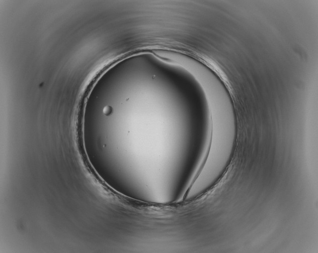 X0000112961138200909101627