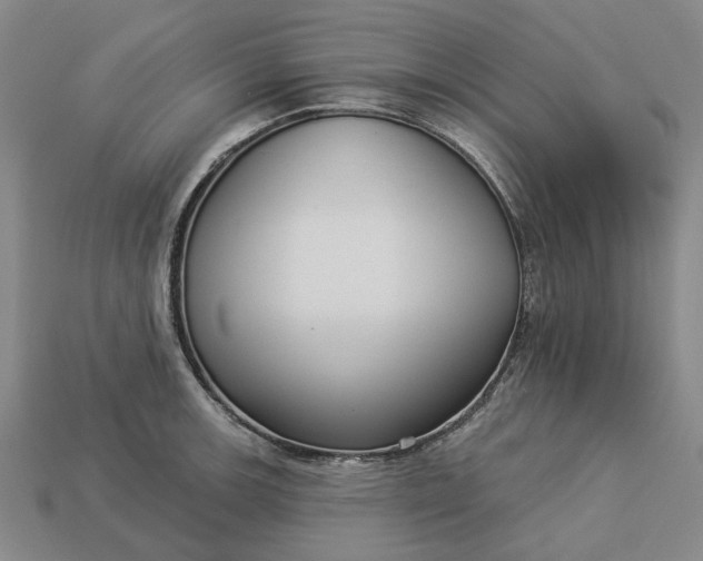 X0000112961139200909101627