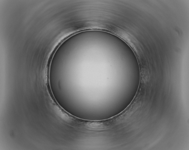 X0000112961140200909101627