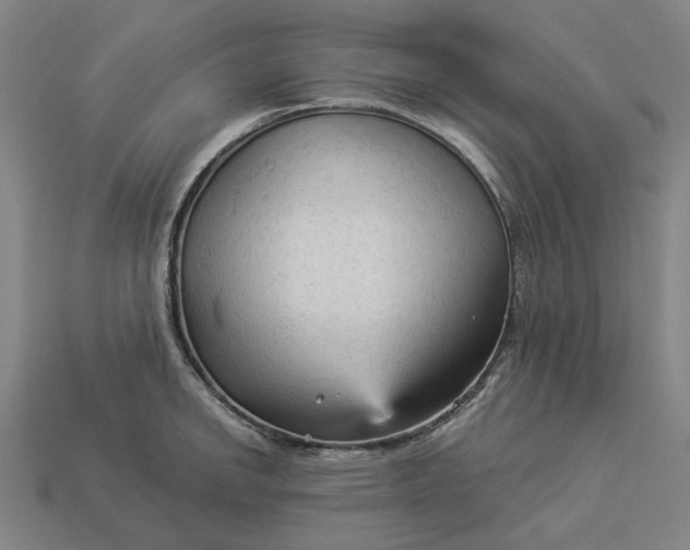 X0000112961142200909101627