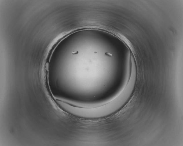 X0000112961144200909101627