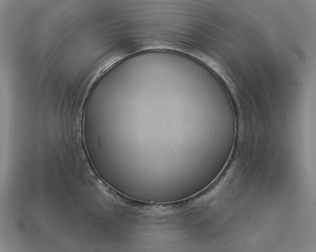 X0000112961145200909101627