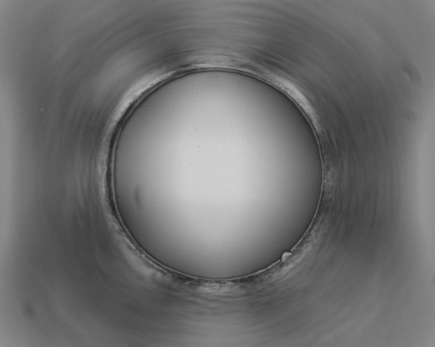 X0000112961146200909101627