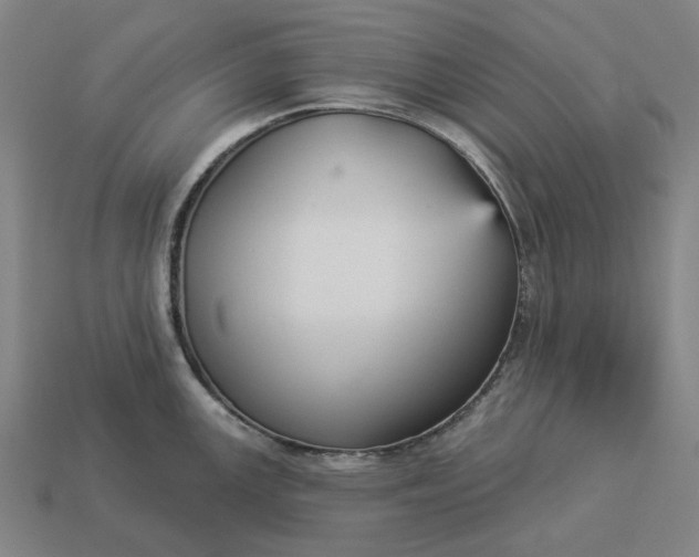 X0000112961147200909101627