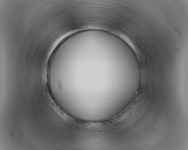 X0000112961148200909101627