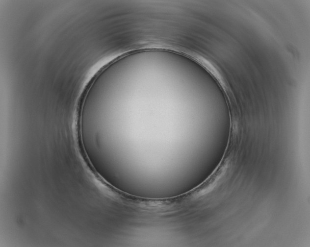 X0000112961149200909101627