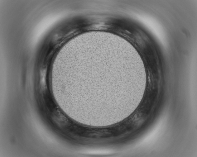 X0000112961150200909101627