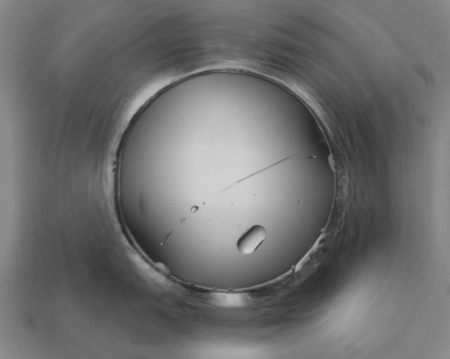 X0000112961151200909101627