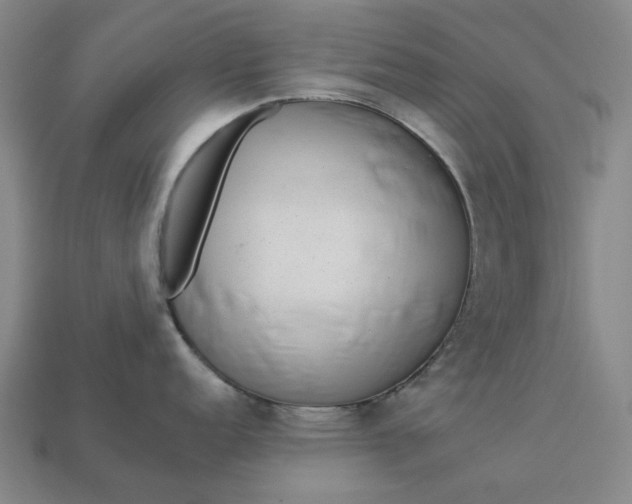 X0000112961152200909101627