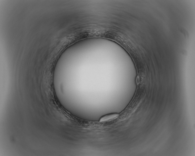 X0000112961153200909101627