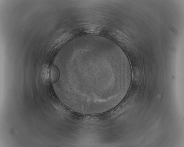 X0000112961154200909101627