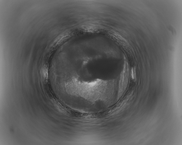 X0000112961155200909101627