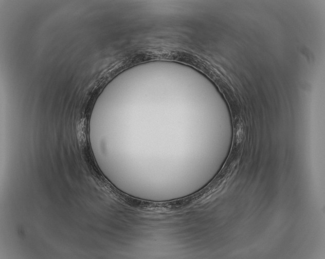 X0000112961156200909101627