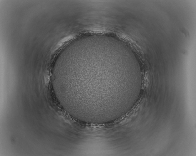 X0000112961157200909101627