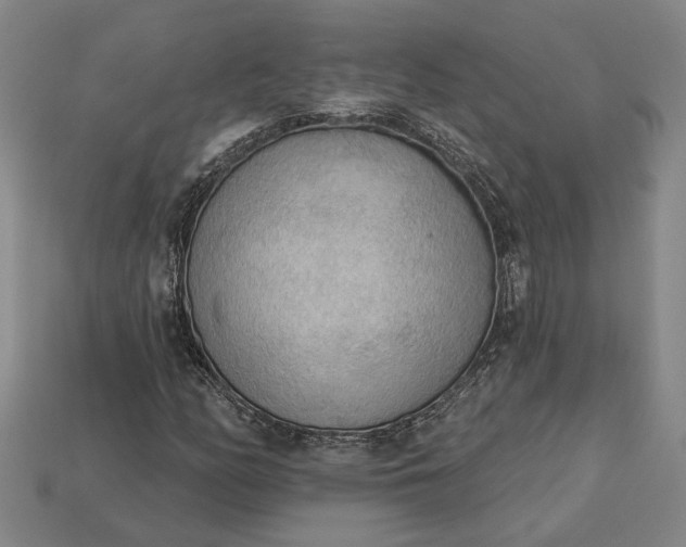 X0000112961158200909101627