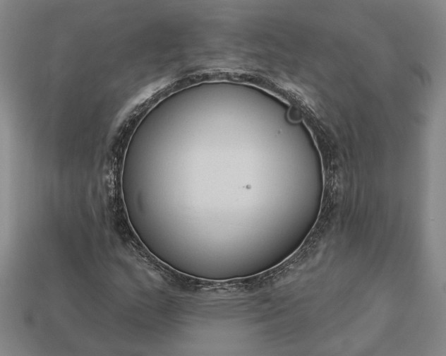 X0000112961159200909101627