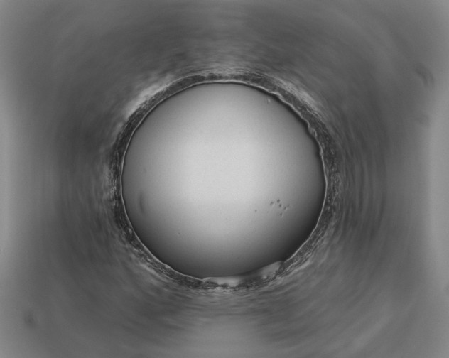 X0000112961160200909101627