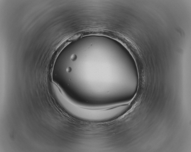 X0000112961162200909101627