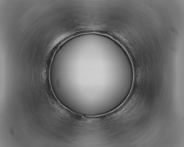 X0000112961163200909101627