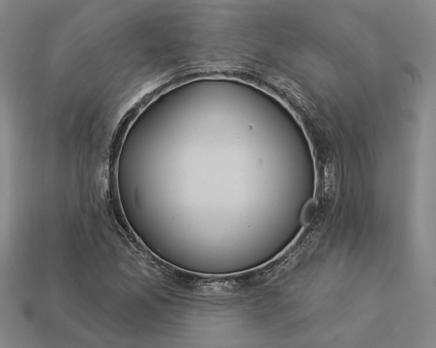 X0000112961165200909101626