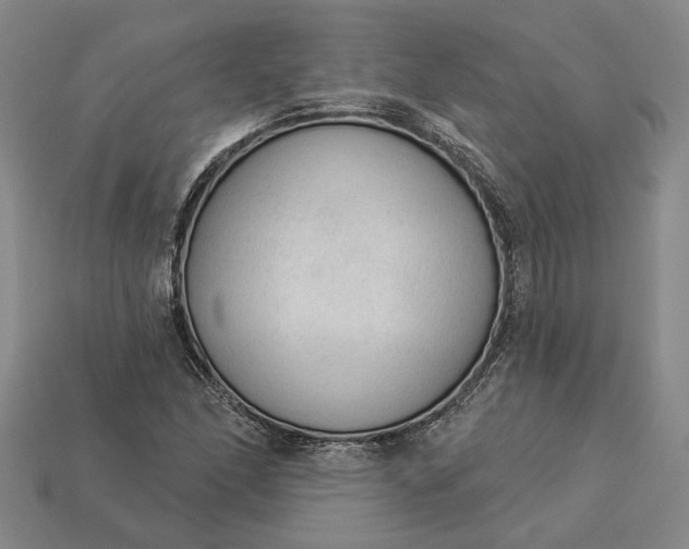 X0000112961166200909101626