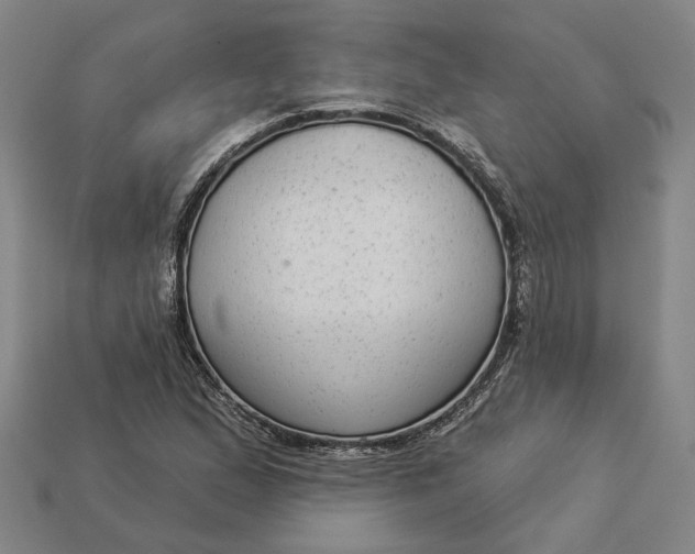 X0000112961167200909101626