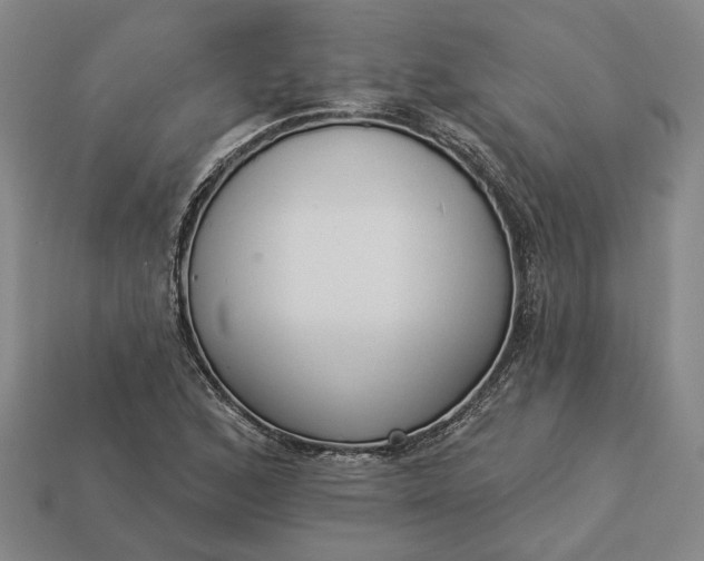 X0000112961168200909101626