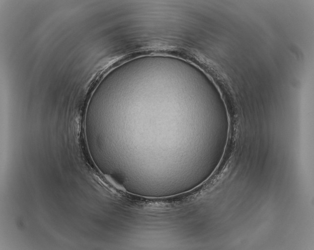 X0000112961169200909101626