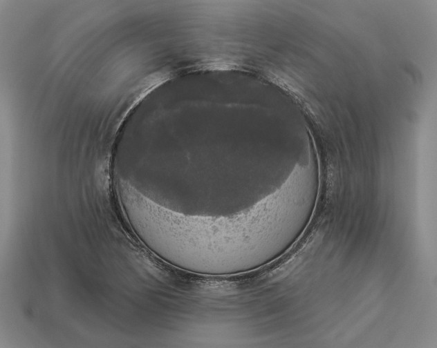 X0000112961170200909101626