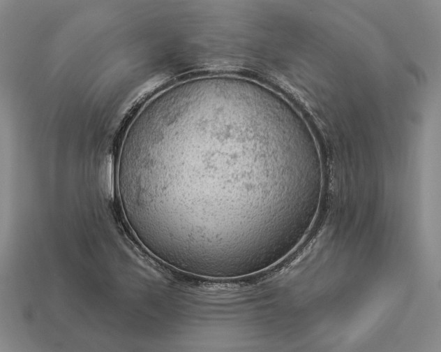 X0000112961171200909101626