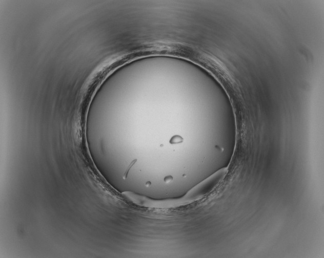 X0000112961172200909101626