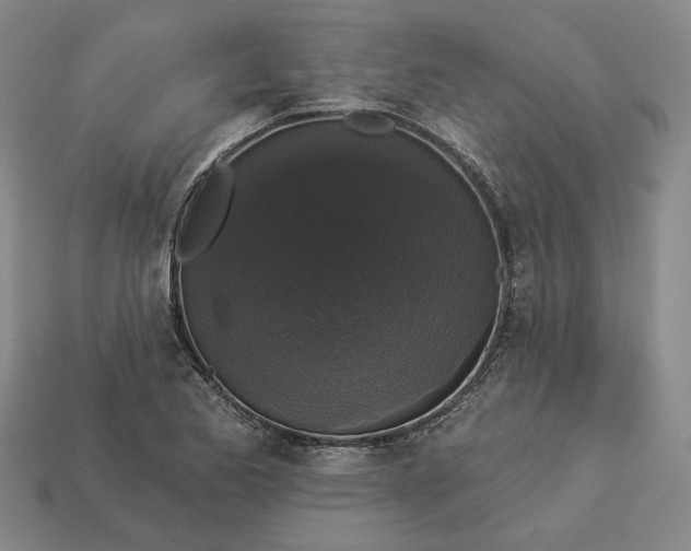 X0000112961173200909101626