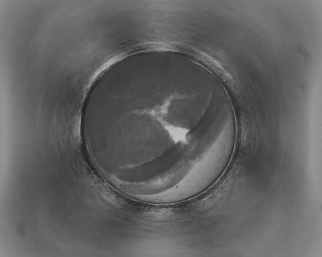 X0000112961174200909101626