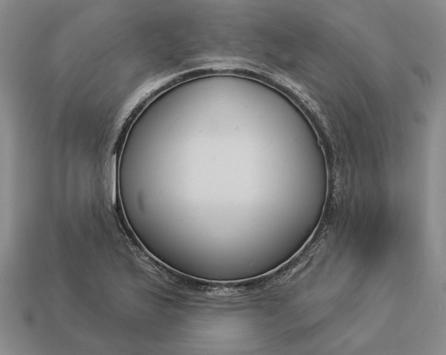 X0000112961175200909101626