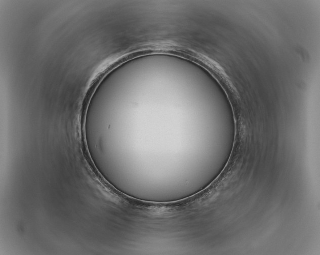 X0000112961176200909101626