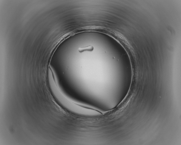 X0000112961177200909101626