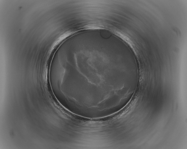 X0000112961179200909101626