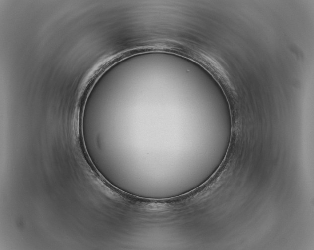 X0000112961180200909101626