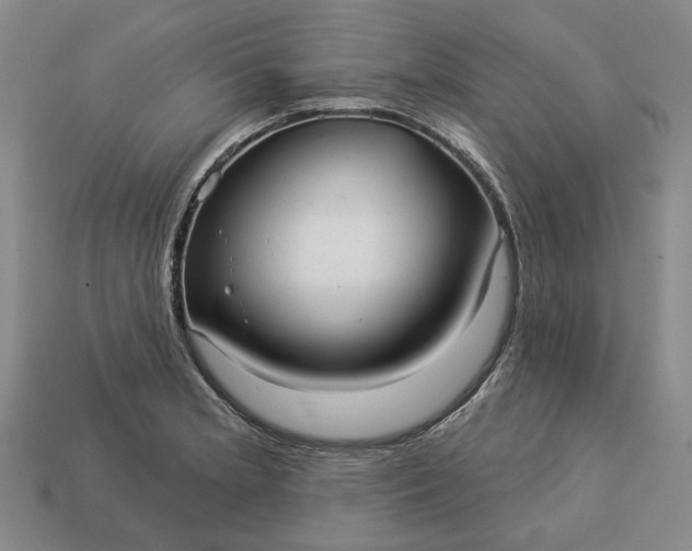 X0000112961181200909101626