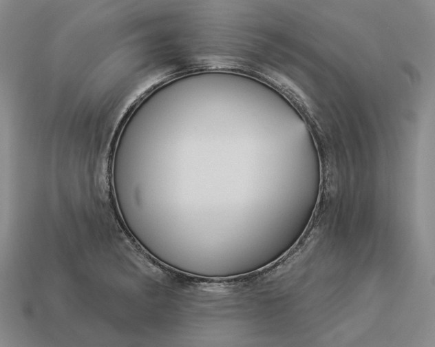 X0000112961182200909101626