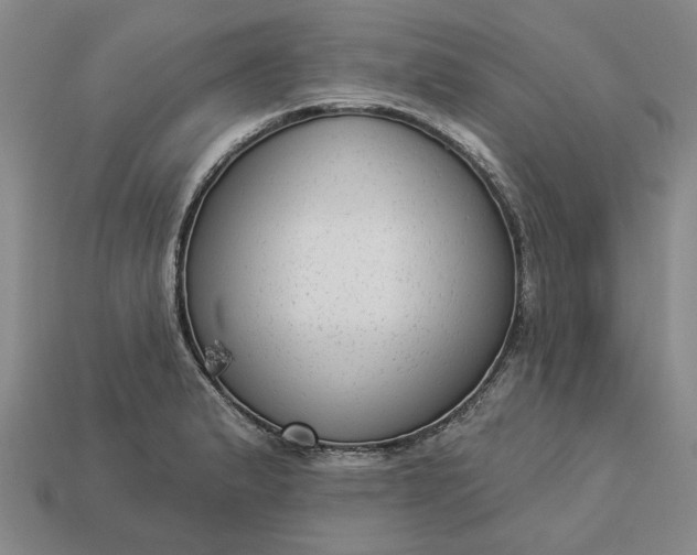 X0000112961183200909101626