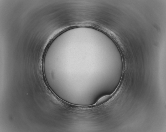 X0000112961184200909101626