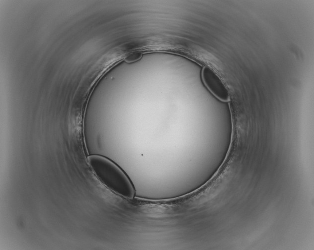 X0000112961185200909101626