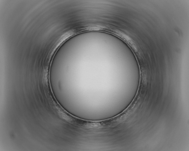 X0000112961186200909101626