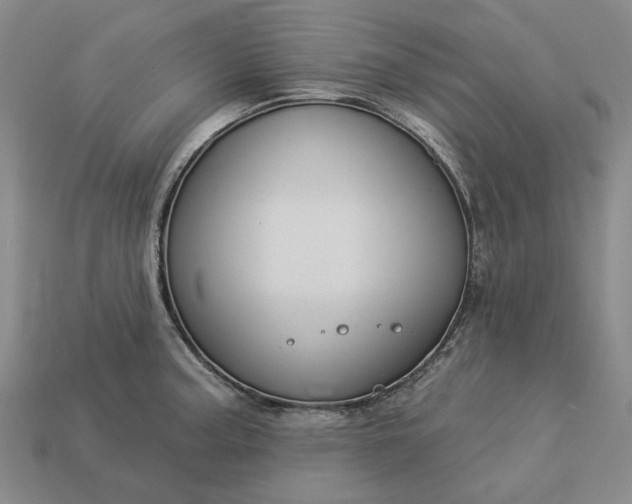 X0000112961187200909101626