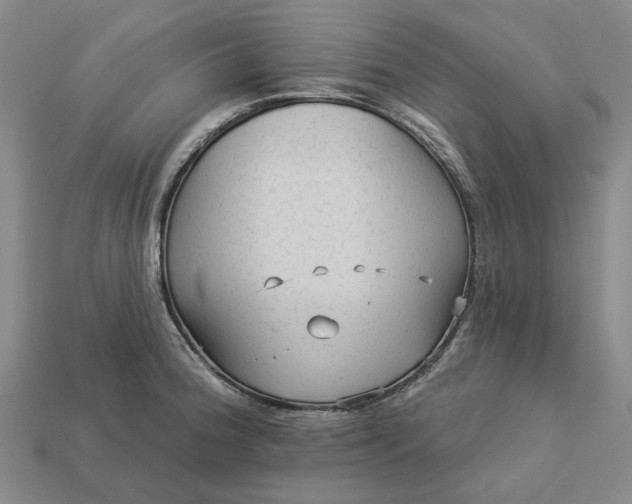 X0000112961188200909101626