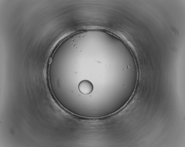 X0000112961189200909101626