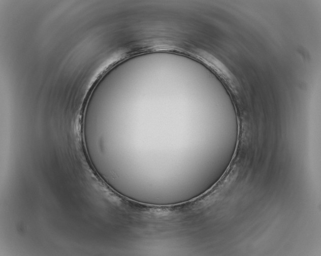 X0000112961190200909101626