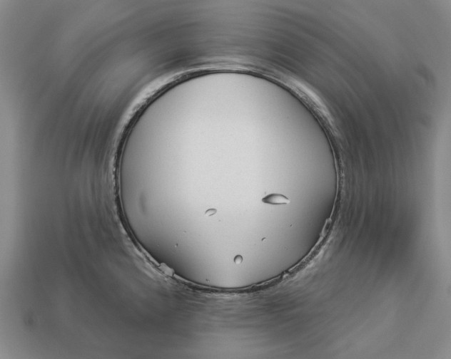 X0000112961192200909101626