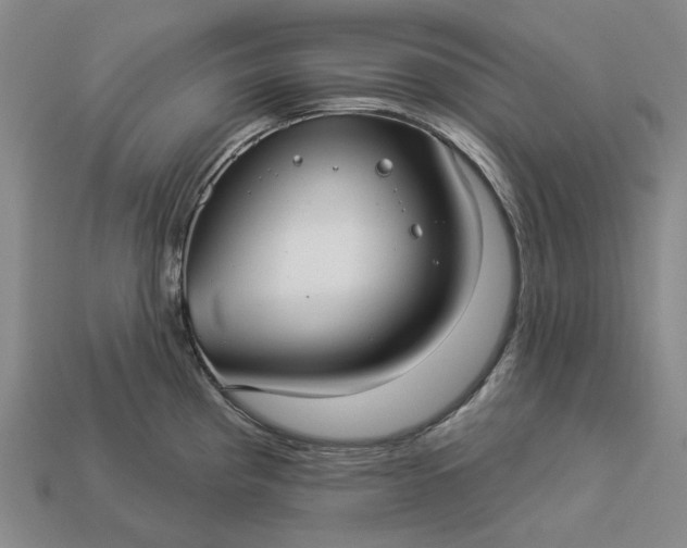 X0000112961193200909101626